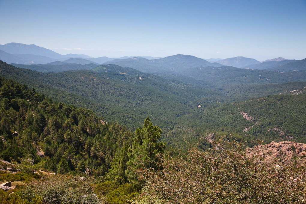 Bavella, Quenza